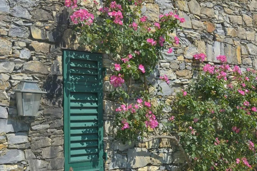 Villa Costa Dei Gelsomini - Sea View, Private Pool Rapallo Olaszország